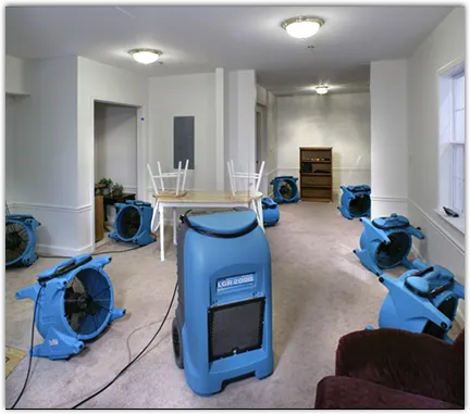 Water Mitigation Services in Gypsum, CO